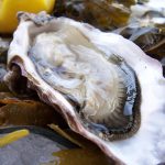 oyster on halfshell credit mark skipper via flickr