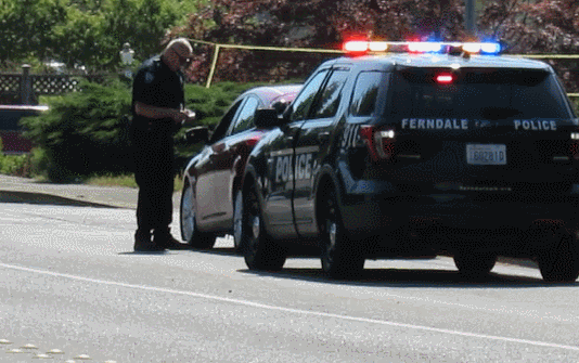 A Ferndale Police officer talks with a driver during a traffic stop (June 19, 2018). Video: Whatcom News