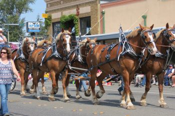 One of the many entries in the 2018 Whatcom Old Settlers Grand Parade in Ferndale (July 28, 2018). Photo: My Ferndale News