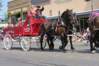 One of the many entries in the 2018 Whatcom Old Settlers Grand Parade in Ferndale (July 28, 2018). Photo: My Ferndale News