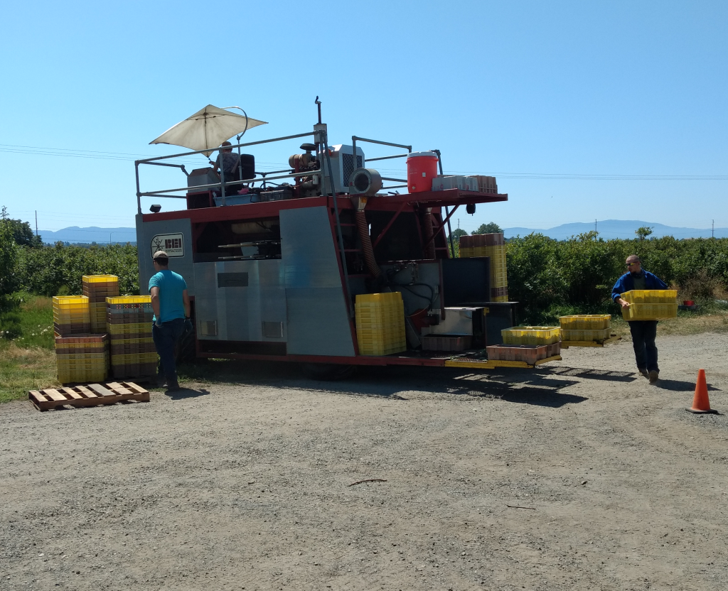 workers prepare the automated picking machine to head out into the blueberries at eastview blueberry farm 2018-07-25