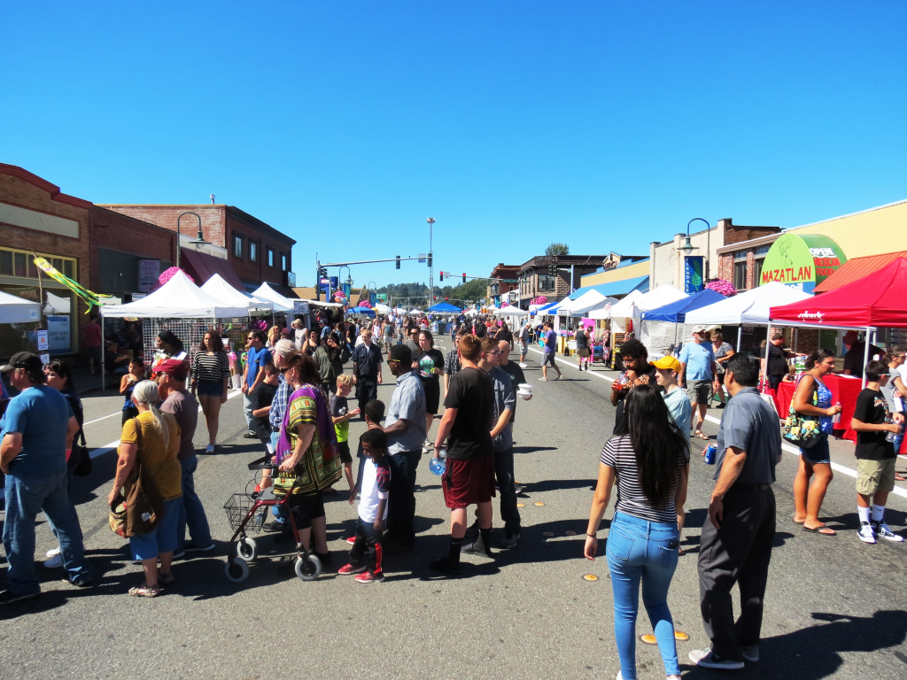 2017 ferndale street festival