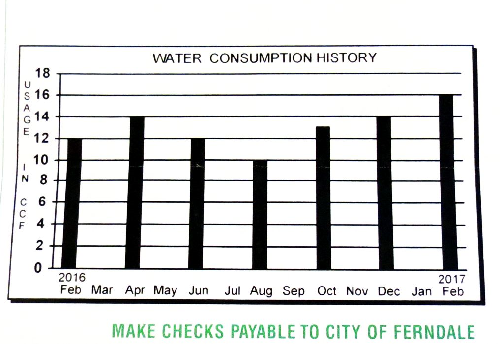 Snippet of a City of Ferndale utility invoice (March 15, 2017). Photo: My Ferndale News