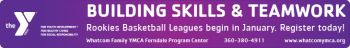 YMCA DISC FERN BANNER AD purple basketball Nov