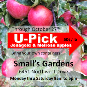 smalls garden upick apples 2018 300x