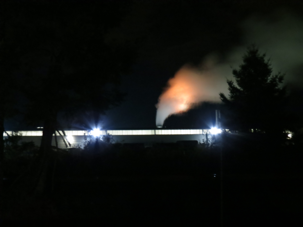 view of healthy pet stack from portal way