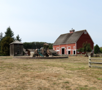 weather widget bg hovander pk