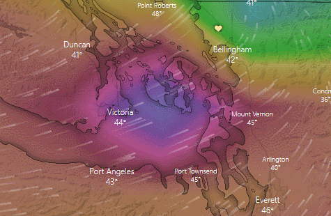 windy gfs wind gust forecast 0500 as of 0400