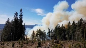 wa dnr file photo wildfire 2019-03