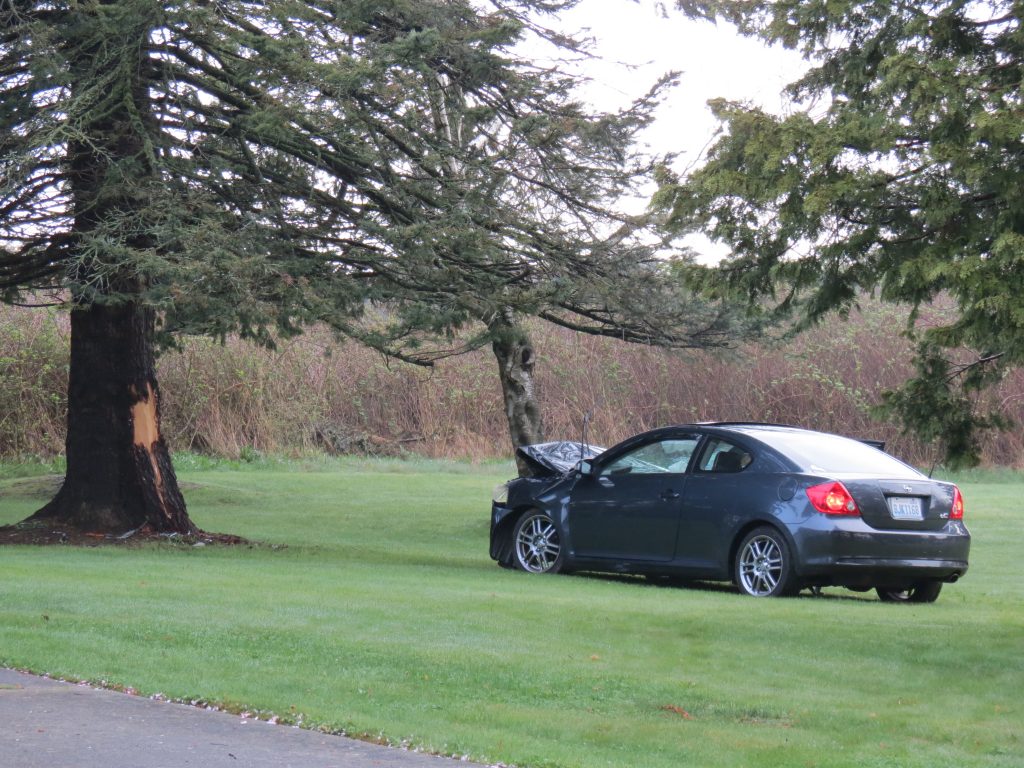 Scene of car vs tree crash on Belfern Drive (April 12, 2019). Photo: My Ferndale News
