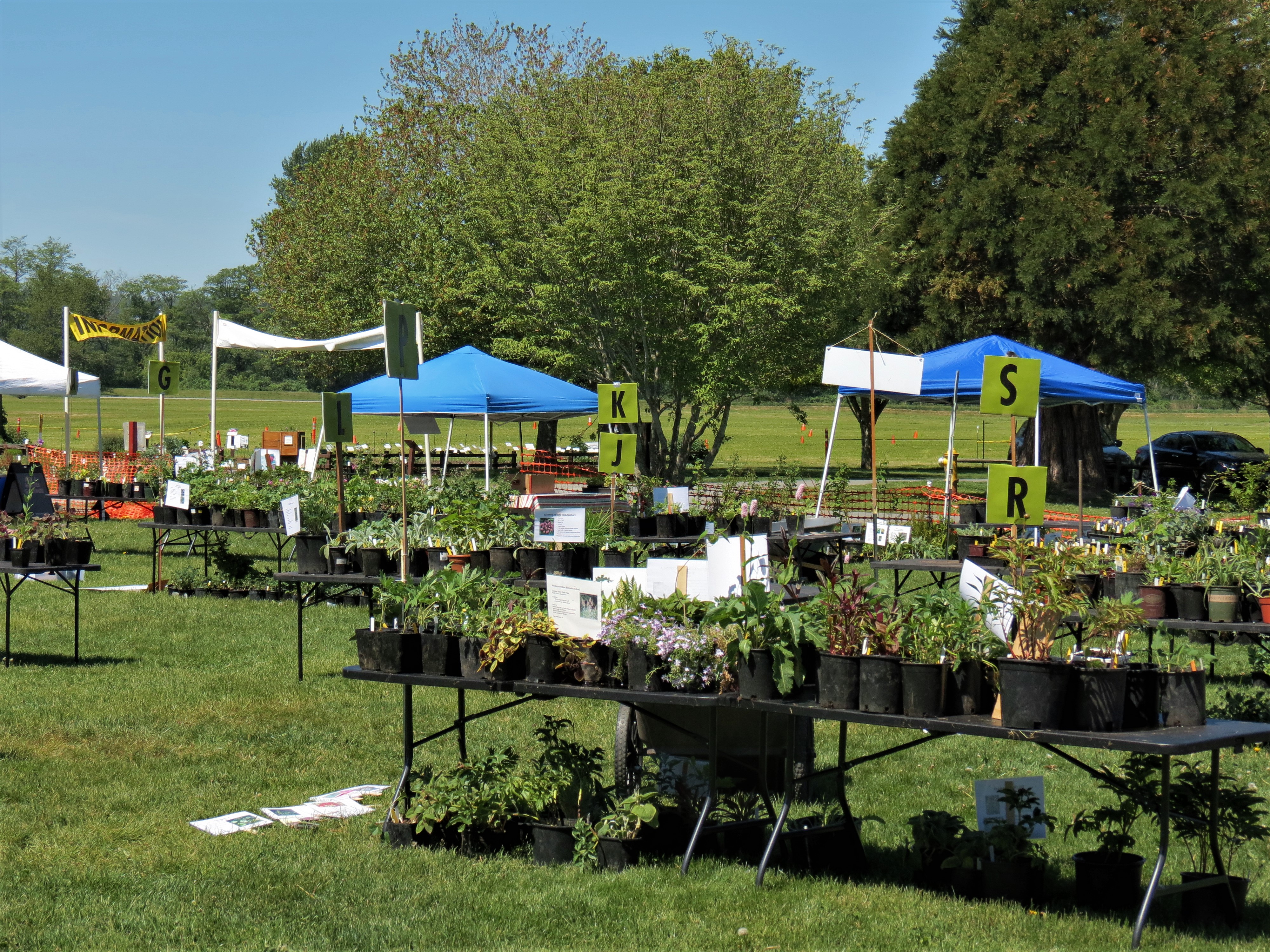 Whatcom Master Gardeners plant sale at Hovander Homestead Park (May 10, 2019). Photo: My Ferndale News