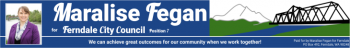 maralise fegan city council 730x