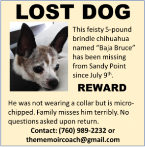 baja bruce lost dog 300x 2