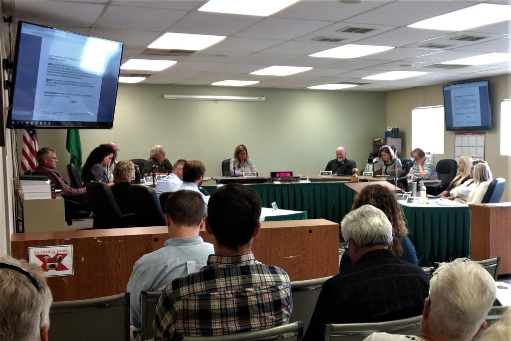 Ferndale City Council member Kate Bishop reads a declaration of admonishment of councilmember Keith Olson into the record (September 3rd, 2019). Photo: My Ferndale News