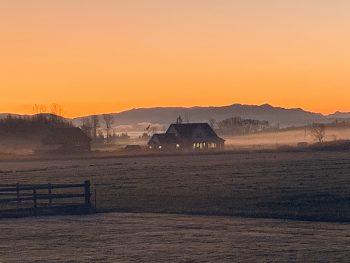 Sunrise from Unick Road (November 8, 2019). Photo courtesy of Annika Puckering.