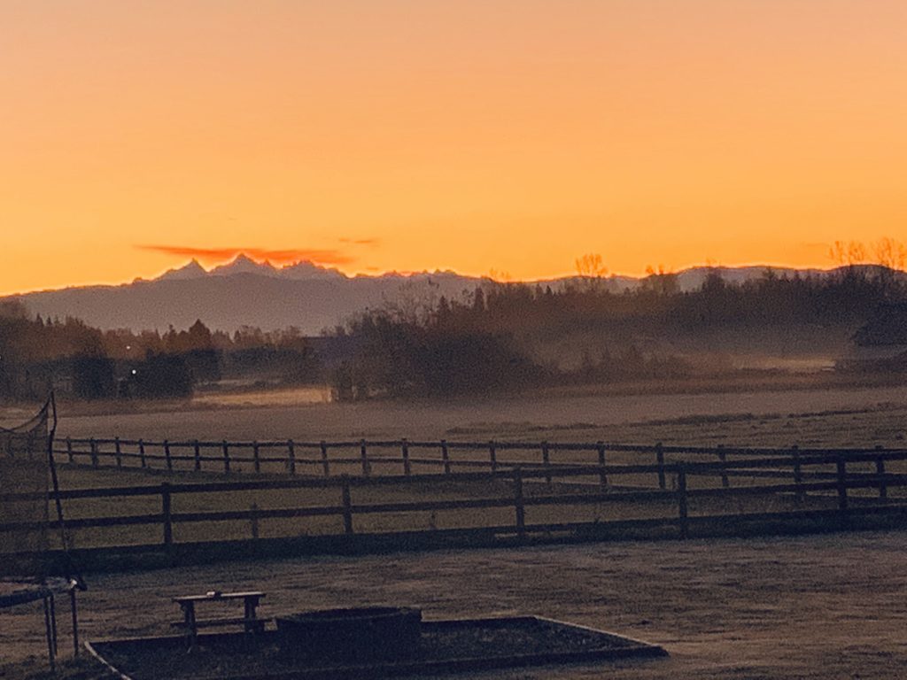 Sunrise from Unick Road (November 8, 2019). Photo courtesy of Annika Puckering.