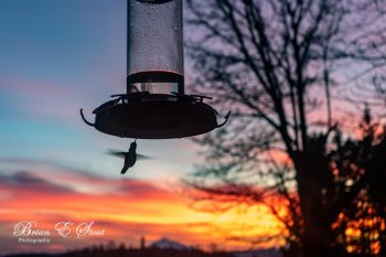 Sunrise (November 8, 2019). Photo courtesy of Brian Stout Photography.