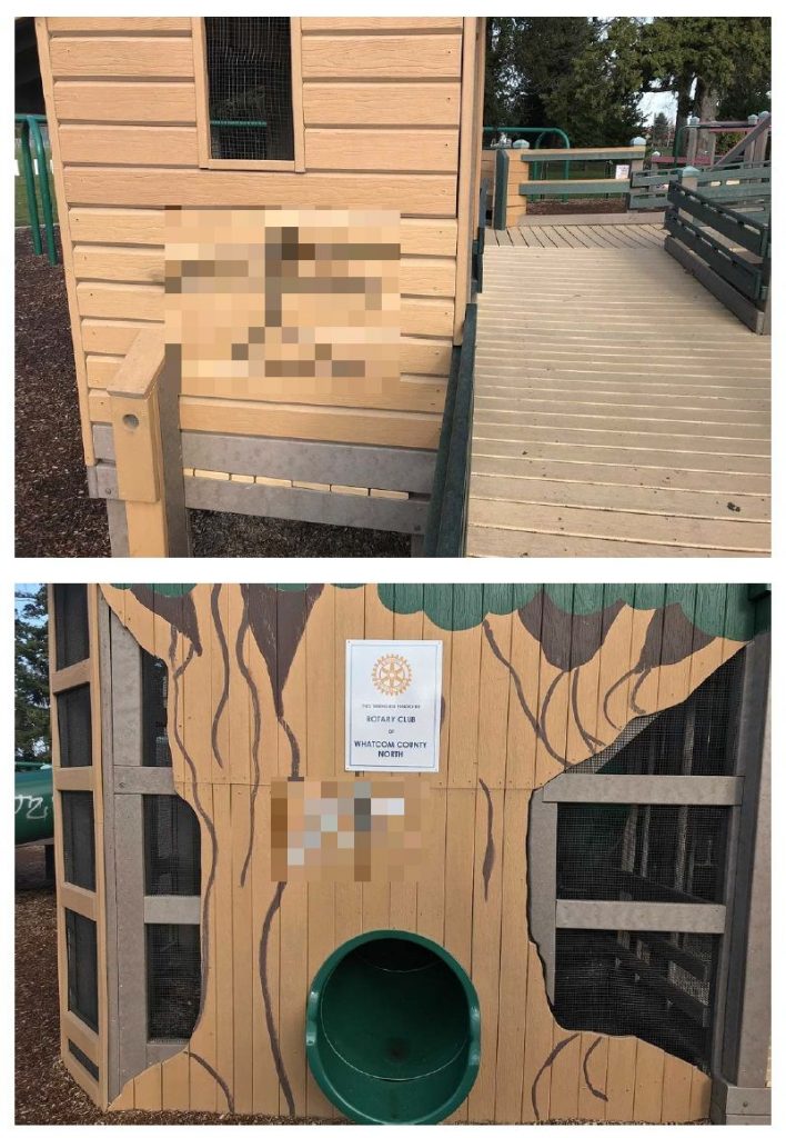 Photos of vandalized Star Park playground equipment (pixelated so as not to promote the vandal(s) tag identity). Photos: City of Ferndale