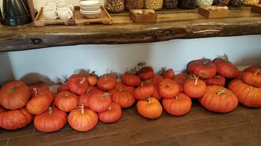 The pumpkin pile at Willows Inn (November 7, 2019). Photo: Nichole Schmitt