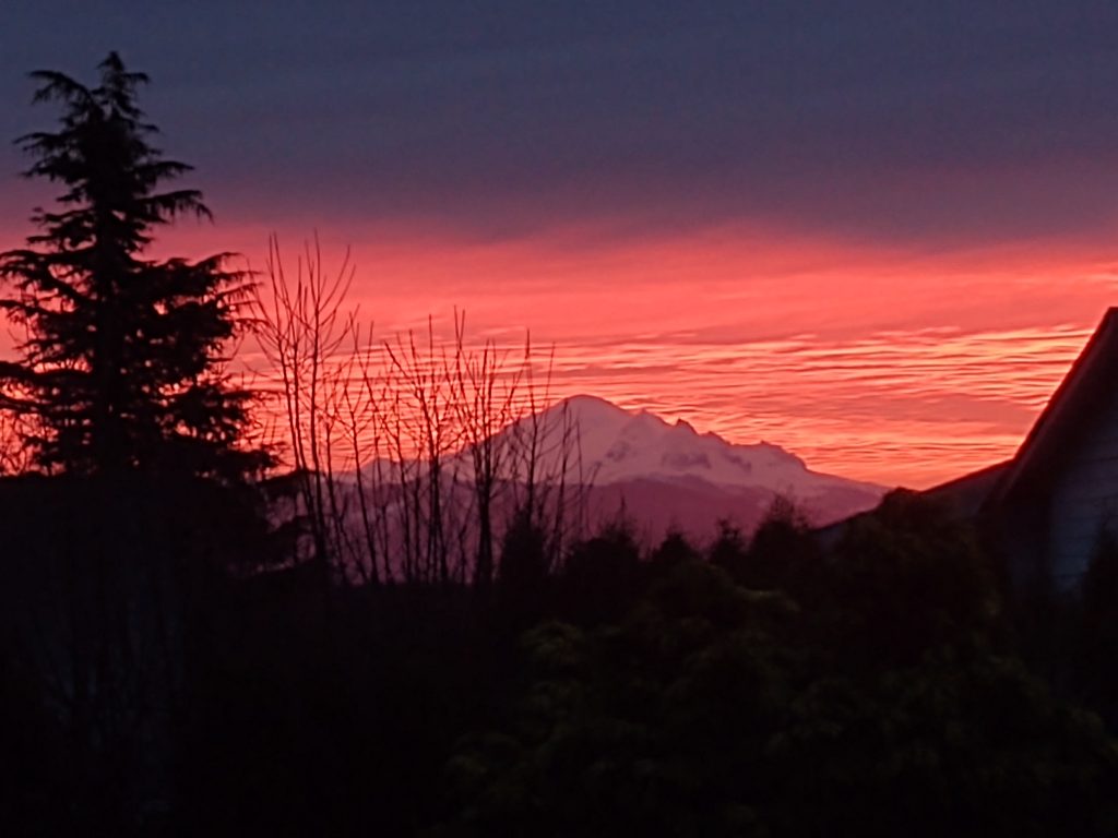 Sunrise as seen from near Ferndale High School (January 30, 2020). Photo: My Ferndale News