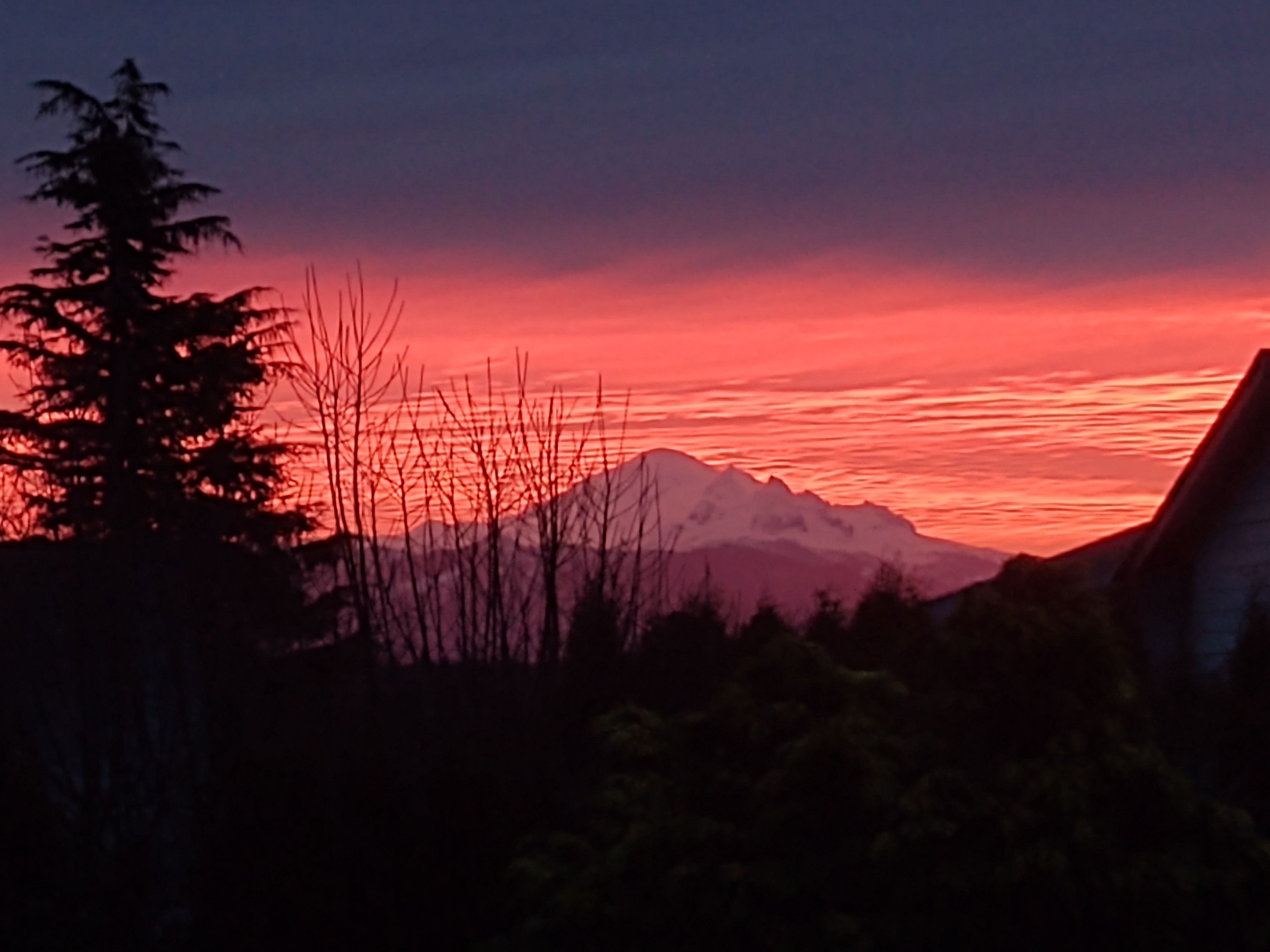 Sunrise as seen from near Ferndale High School (January 30, 2020). Photo: My Ferndale News