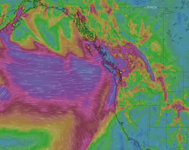 European Centre for Medium-Range Weather Forecasts (ECMWF) wind gust forecast for 6pm-9pm on Friday, January 3rd as of 8am January 2nd. Source: Windy.com