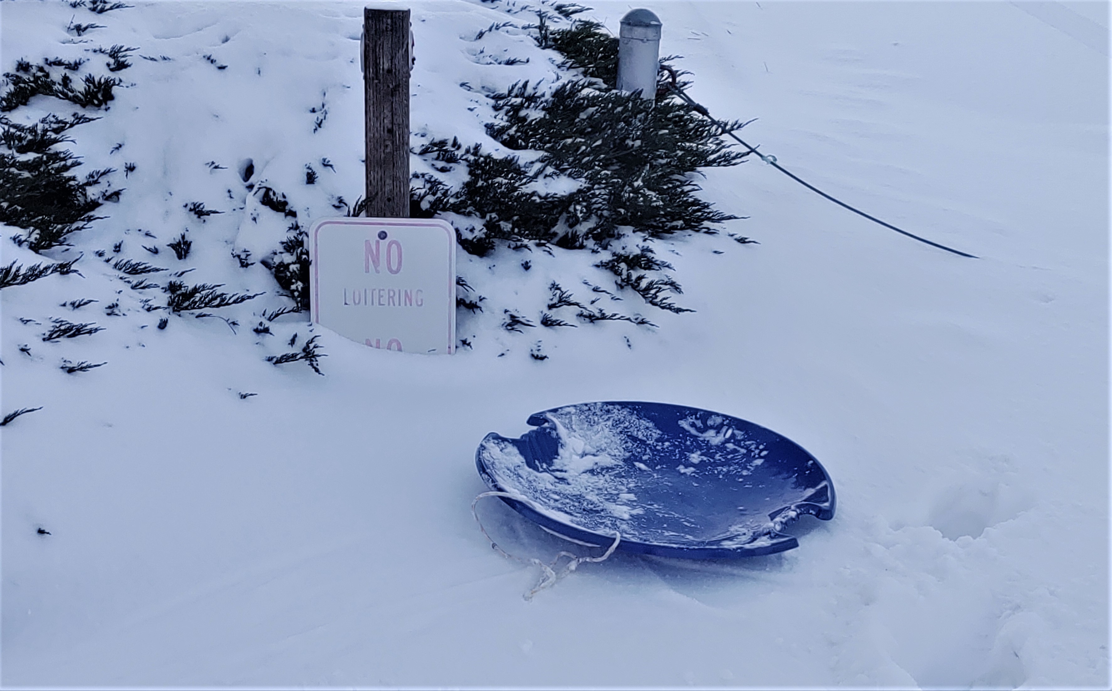 Sled left at the scene of car versus sled crash on Hendrickson Avenue (January 16, 2020). Photo: My Ferndale News