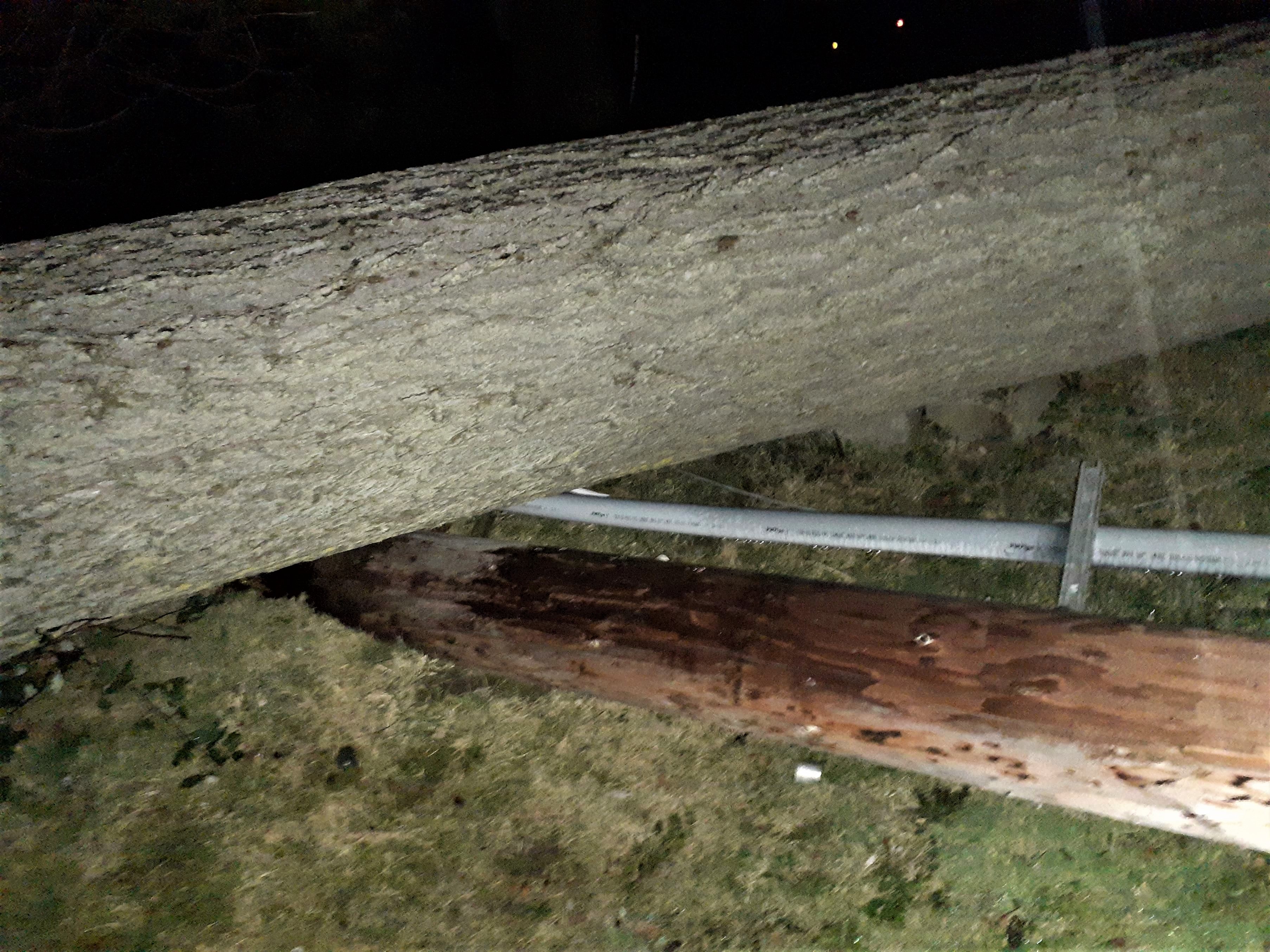 Toppled tree and the power pole it downed resulted in a power and water service outage in Sandy Point Heights (January 3, 2020). Photo: Sandra Nelson