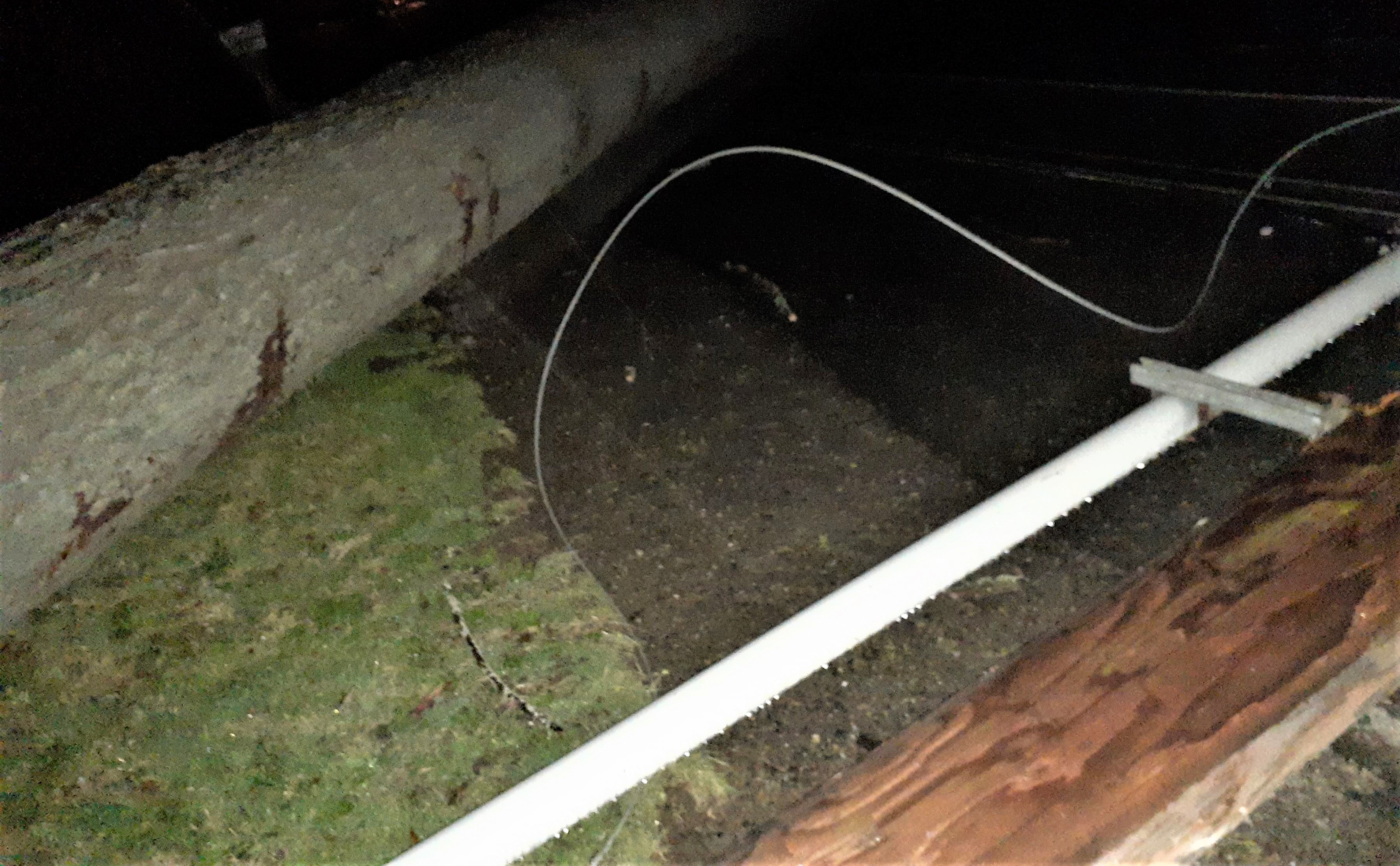 Toppled tree and the power pole it downed resulted in a power and water service outage in Sandy Point Heights (January 3, 2020). Photo: Brenda Nelson