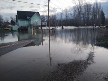 Looking east on Washington Street toward the entrance to VanderYacht Park in Ferndale after the Nooksack River level rose to nearly 21 feet (February 2, 2020). Photo: Whatcom News