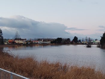 Looking west from behind Motel 6 after the Nooksack River level rose to nearly 21 feet (February 2, 2020). Photo: My Ferndale News