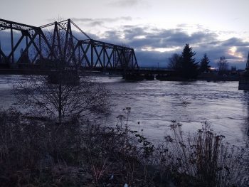 The Nooksack River flowing at just below 21 feet (February 2, 2020). Photo: My Ferndale News