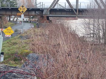 Looking north along Bass Drive from Main Street with flooded VanderYacht Park in the distance as the Nooksack River flows at just below 21 feet (February 2, 2020). Photo: My Ferndale News