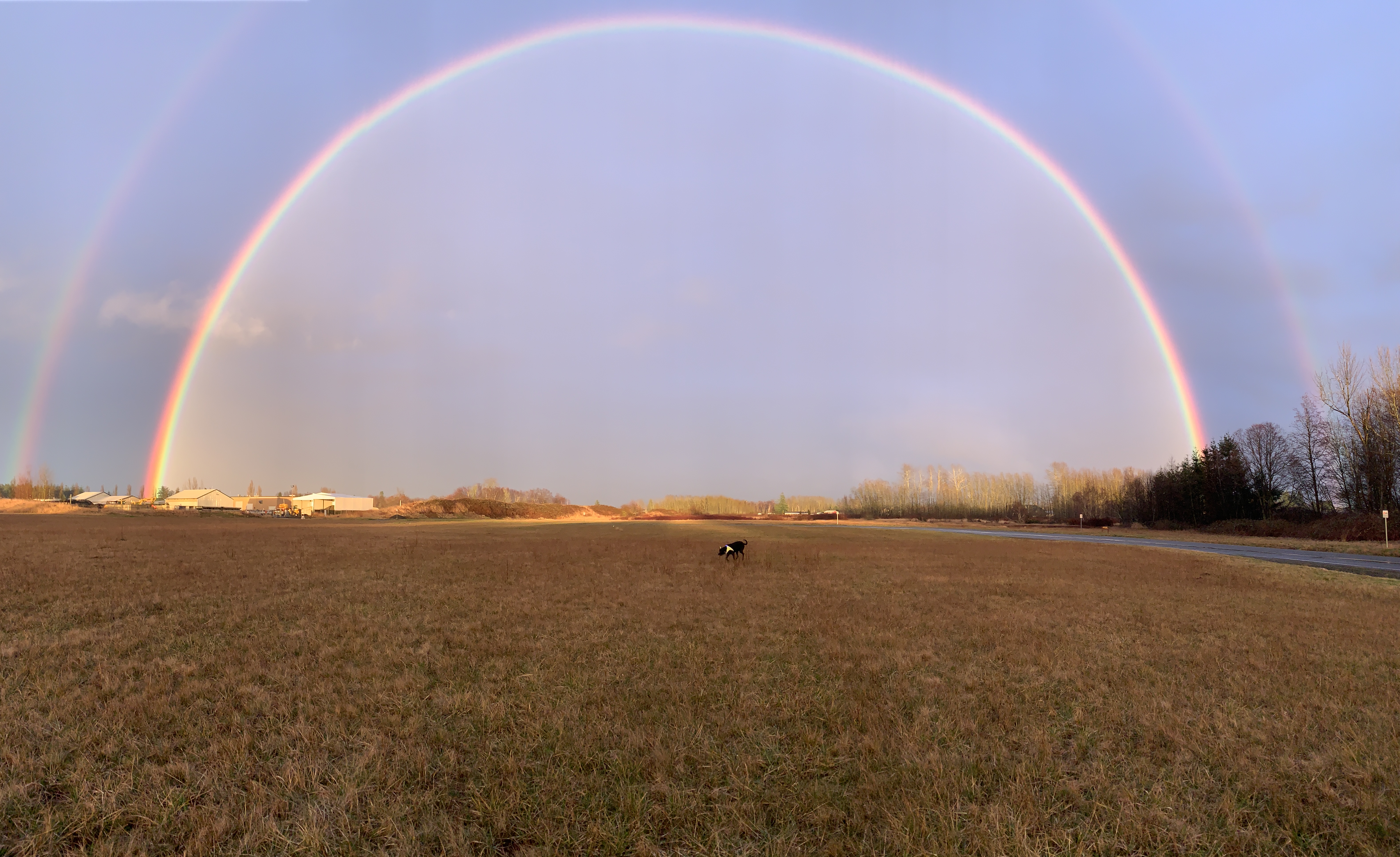 Rainbow from Hovander Road near the Northwest Drive soccer fields (February 28, 2020). Photo courtesy of Ron Coolidge.