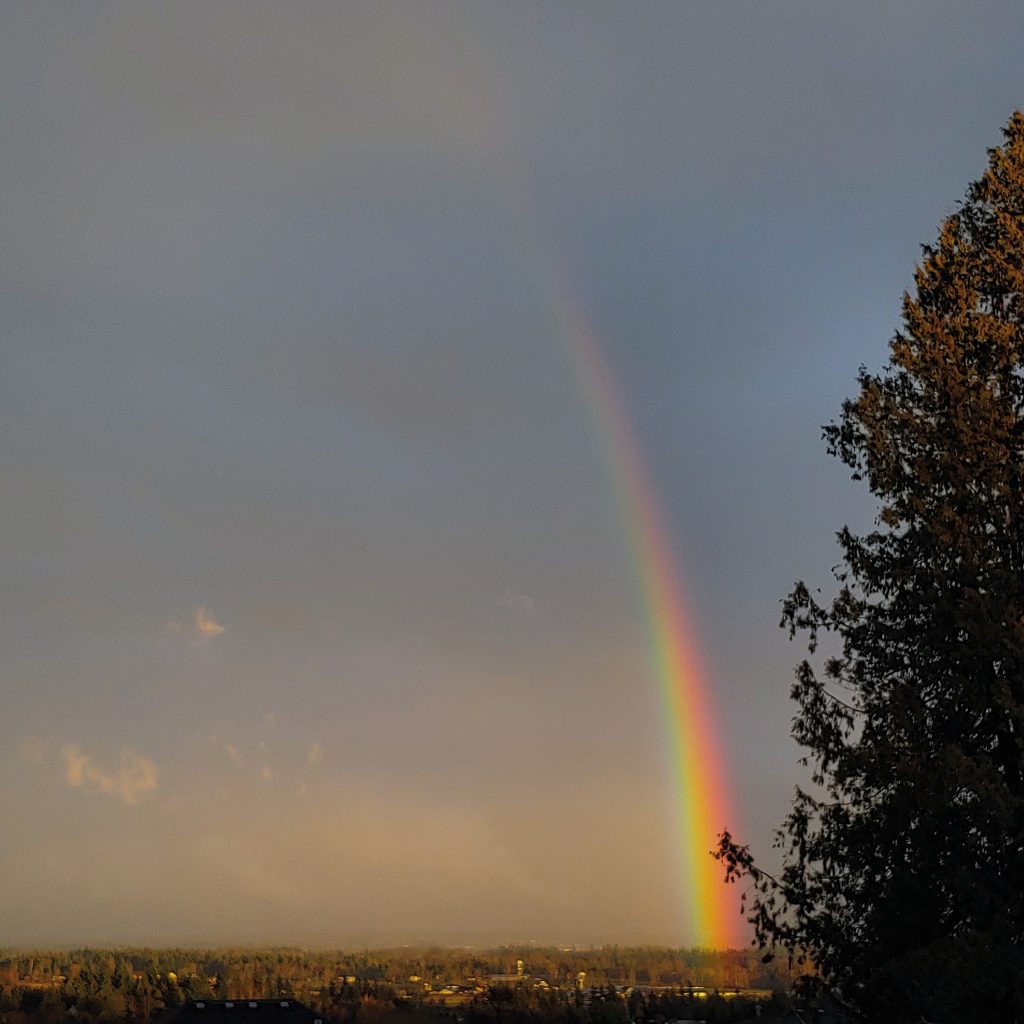 Rainbow from the Vista Ridge neighborhood (February 28, 2020). Photo courtesy of Darin Lewis
