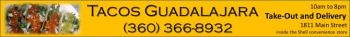 tacos guadalajara 730x