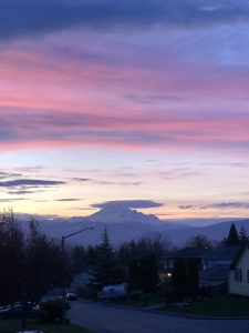 Sunrise colors (April 14, 2020). Photo courtesy of Natasha Polelyuk