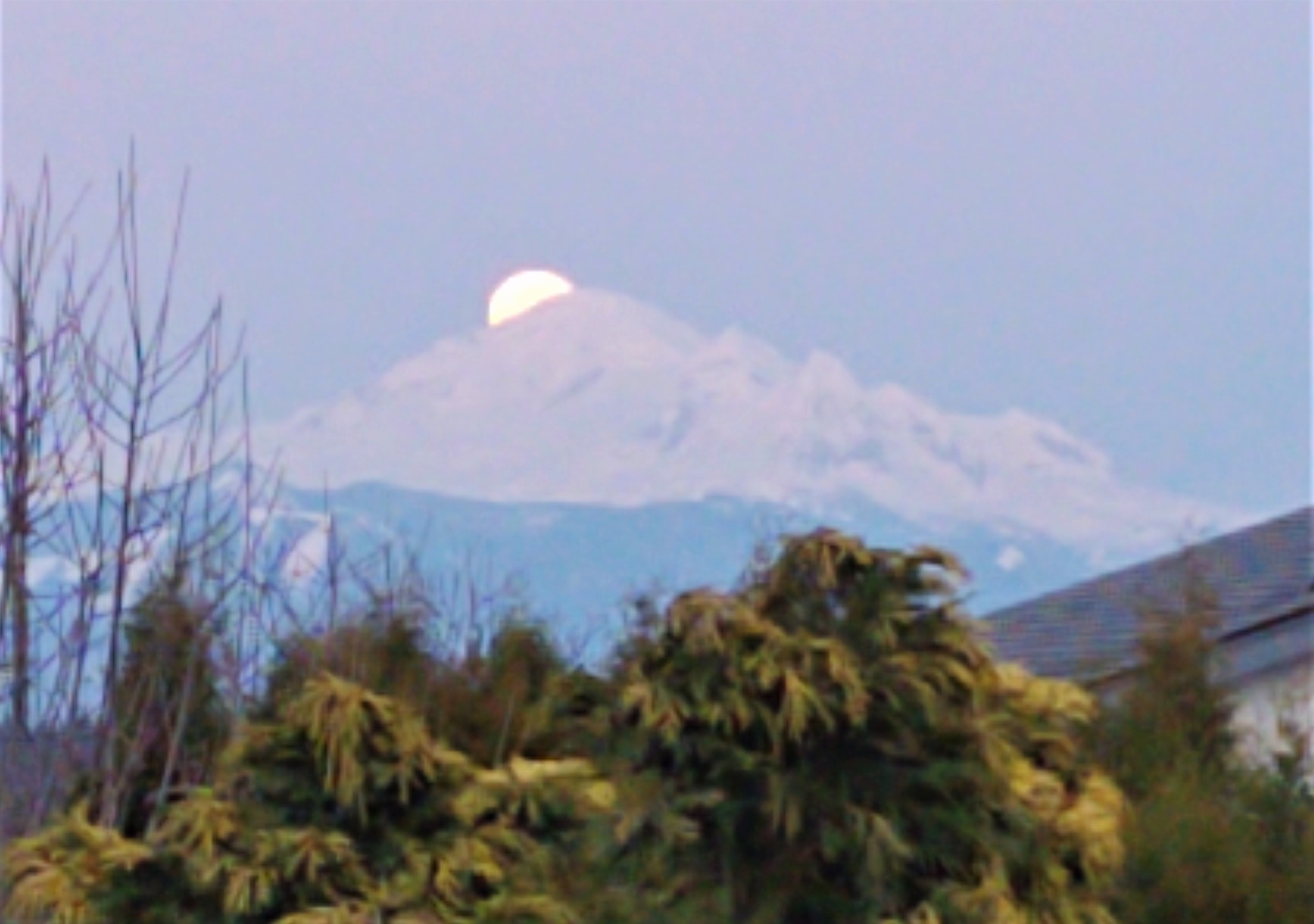 Pink super moon (April 7, 2020). Photo: My Ferndale News