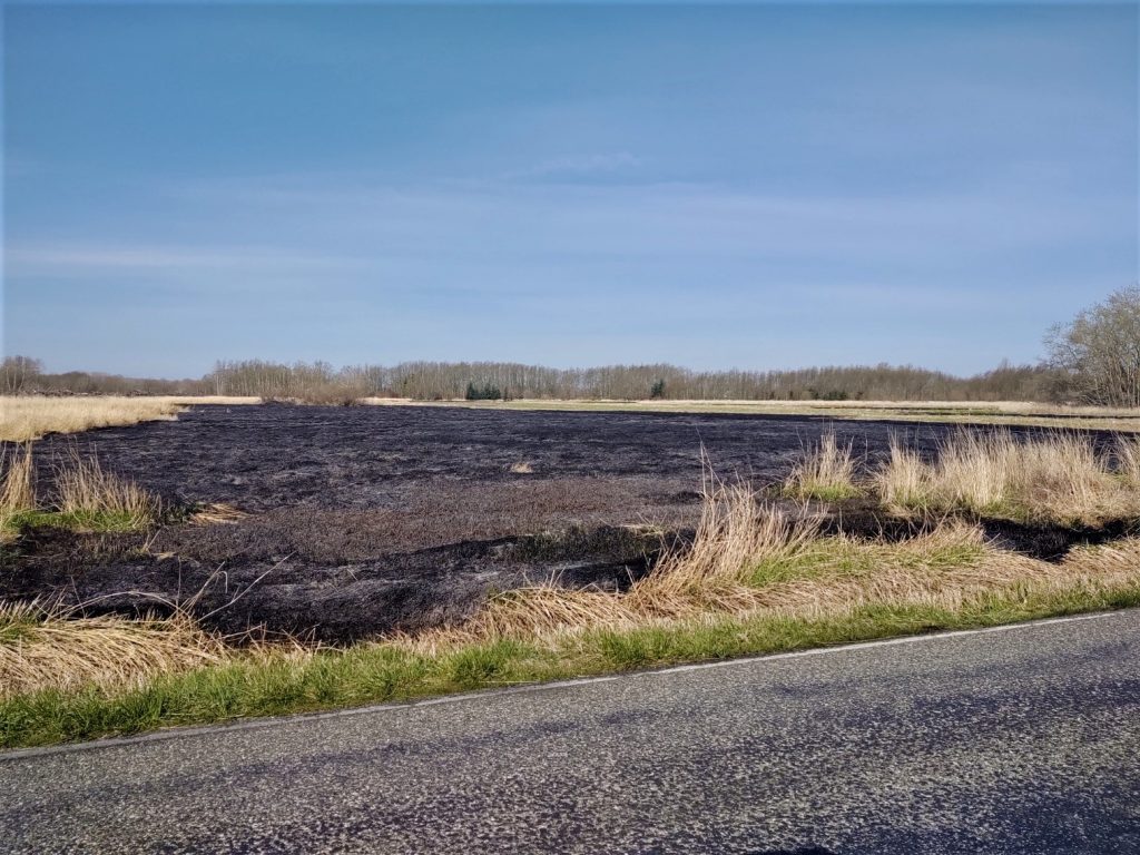 Scene of extinguished brush fire along west side of Ferndale Road between Slater Road and Marine Drive (April 8, 2020). Photo: My Ferndale News
