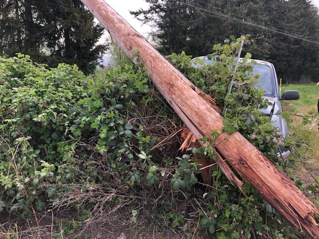 Scene of a vehicle vs pole crash on Ferndale Road (April 19, 2020). Photo: Courtesy of WCFD7