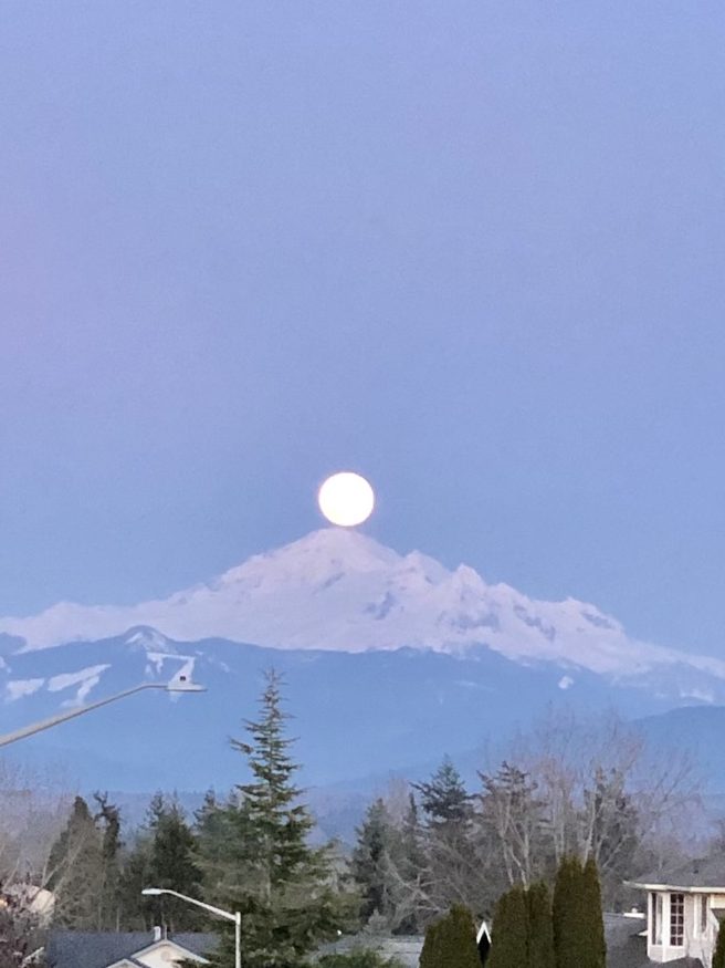 Pink super moon (April 7, 2020). Photo courtesy Natasha Polelyuk