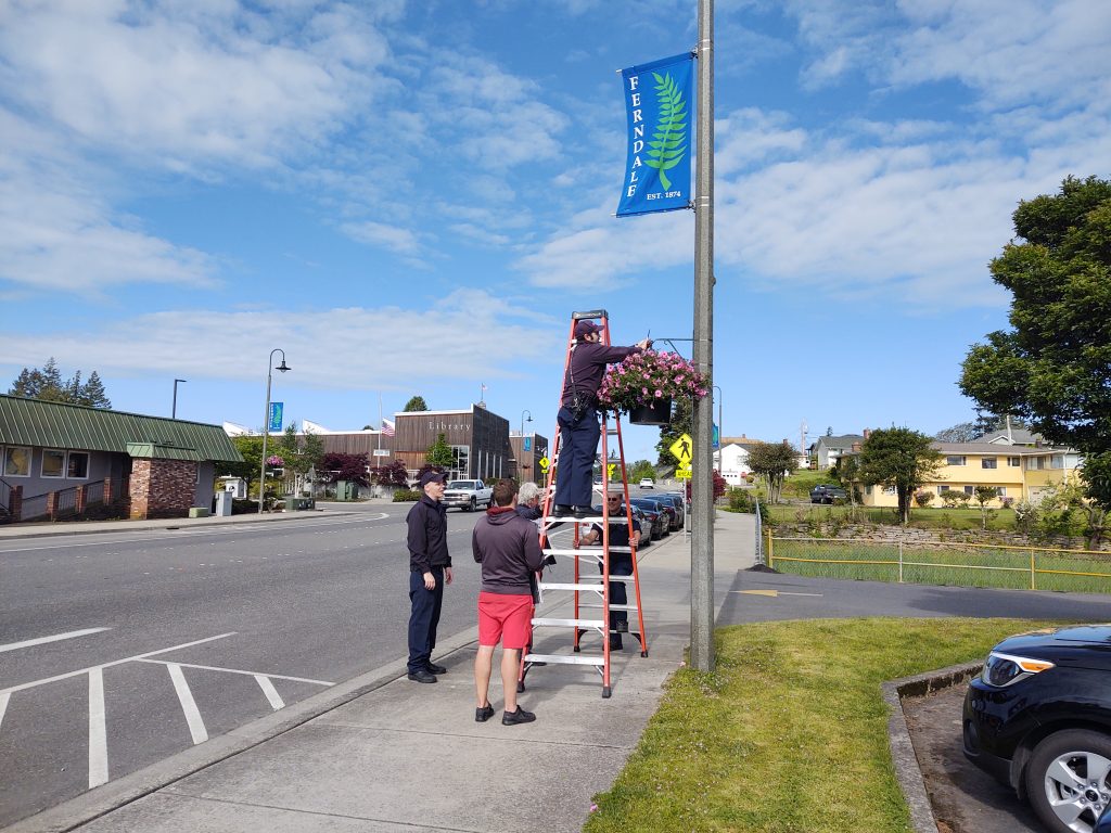 WCFD7 volunteers putting up flower baskets throughout downtown Ferndale (May 15, 2020). Photo: My Ferndale News