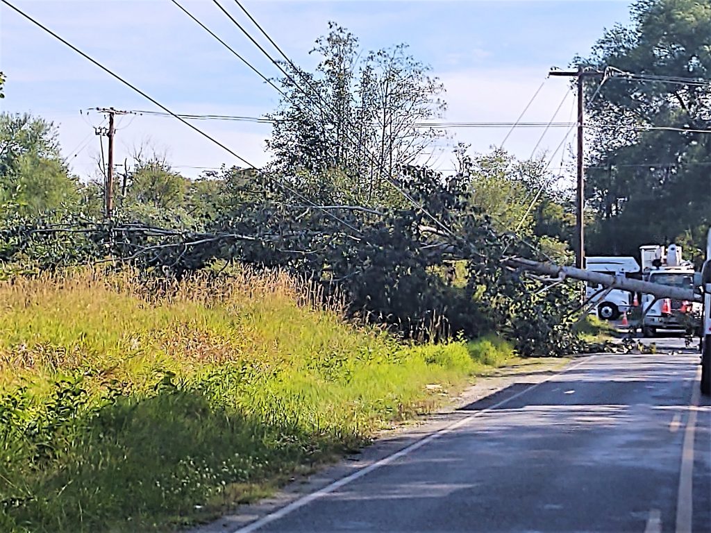 PSE crews work to remove a tree that fell across Ferndale Road by Marine Drive and repair damaged power lines (August 29, 2020). Photo: My Ferndale News
