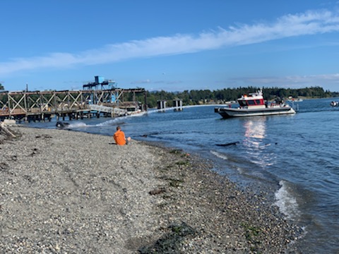 Boat fire on beach at Gooseberry Point (August 18, 2020). Photo courtesy of Barbara Craig