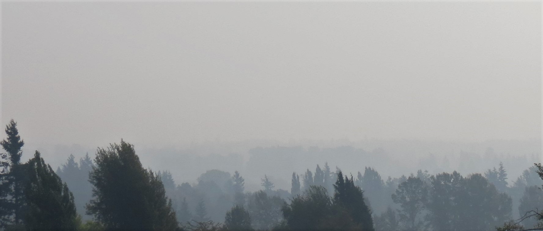 A haze of wildfire smoke is visible across eastern Ferndale (September 11, 2020). Photo: My Ferndale News