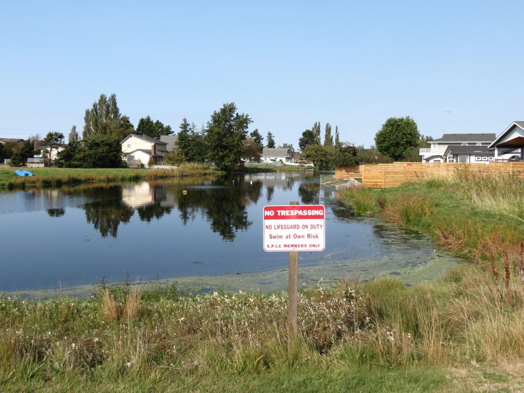 Agate Lake as seen from Thetis Street (September 30, 2020). Photo: My Ferndale News