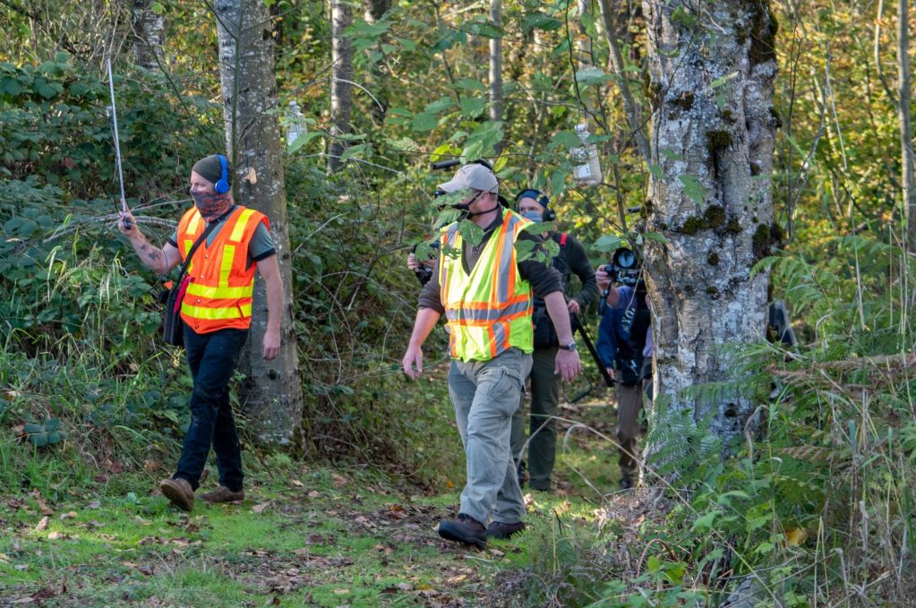 WSDA staff and a film crew track an Asian giant hornet equipped with a tracking device in east Blaine (October 22, 2020). Courtesy of WSDA
