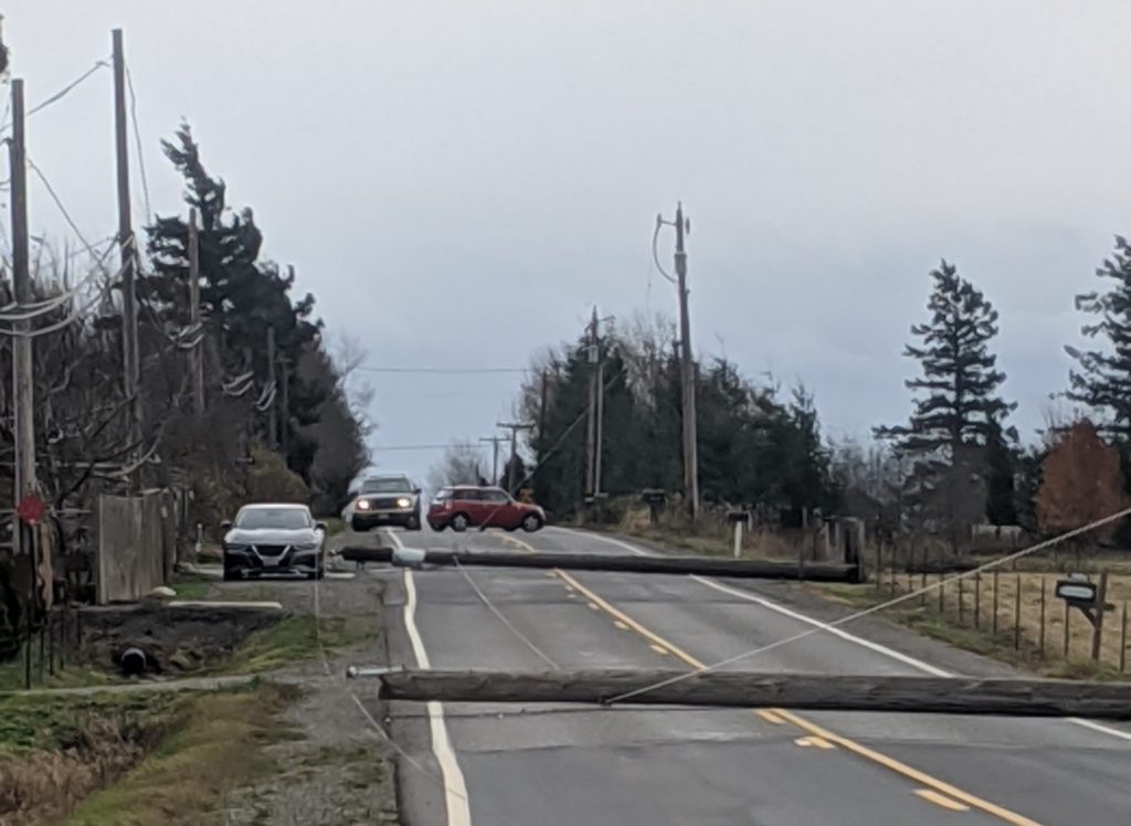 2 downed power poles lie across Mountain View Road after falling during a windstorm with gusts over 50mph (November 17, 2020). Photo courtesy of Tatiana Stone