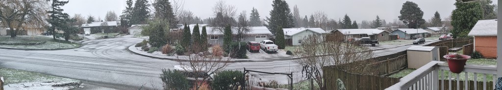 Panorama of the Sunshine Drive neighborhood during the first snowfall of winter 2020 (December 21, 2020). Photo courtesy of B. Orth-Sheridan.