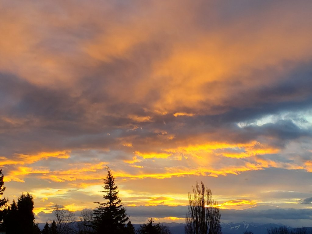 Sunrise (March 19, 2021). Photo courtesy of Jackie Rodriguez of Ferndale.